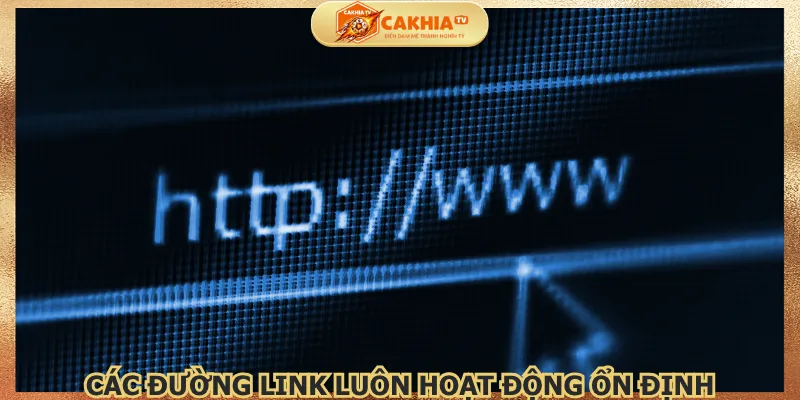 cac-duong-link-luon-hoat-dong-on-dinh