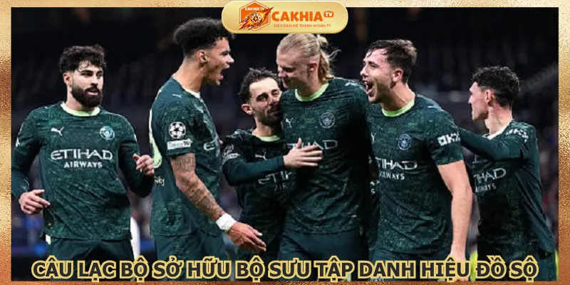 cau-lac-bo-so-huu-bo-suu-tap-danh-hieu-do-so