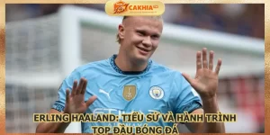 erling-haaland
