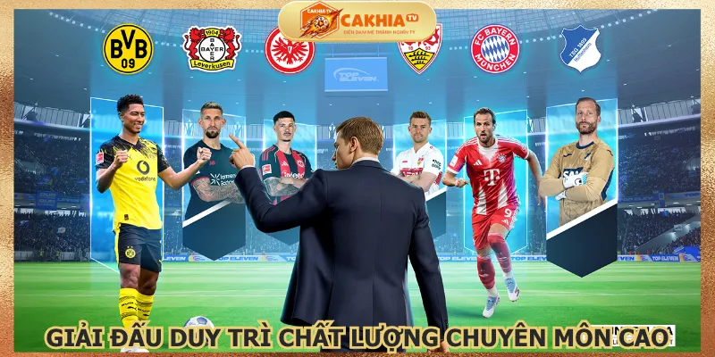 giai-dau-duy-tri-chat-luong-chuyen-mon-cao